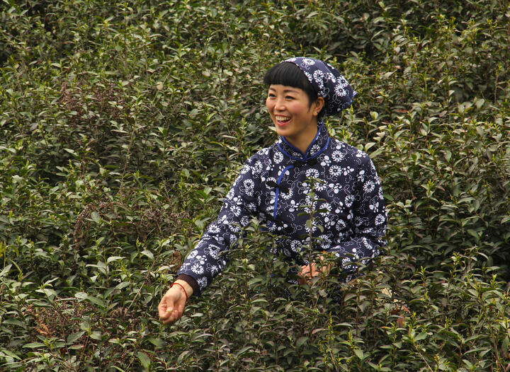 萝卜2